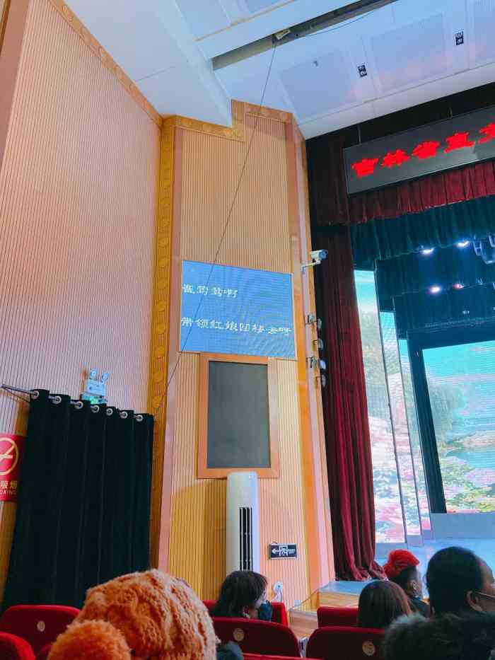 桃李梅大剧院-"昨天在桃李梅观看吉剧,演员的表演还好吧.