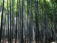 -宝岩生态观光园