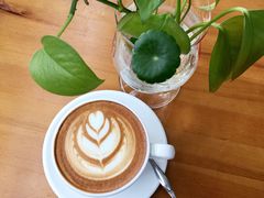 原味拿铁热-桉树林A coffee 森林餐厅(三圣乡店)