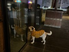 -北京瑜舍