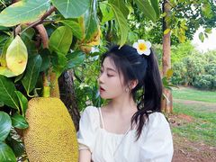 -西双版纳傣族园