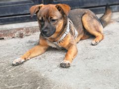 -大理床单厂艺术区