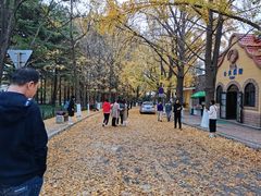 -八大关景区