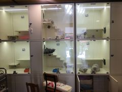 -十年猫舍·猫咪专门店(普陀店)