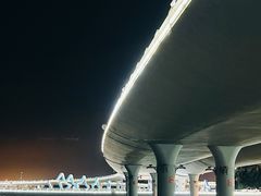-演武大桥观景平台