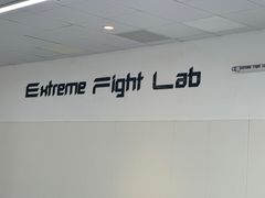 -EFL巴西柔术·综合格斗·泰拳·少儿体能训练(虹桥德必馆)