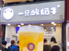 -一只酸奶牛(八一路店)