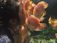 -福州罗源湾海洋世界旅游区