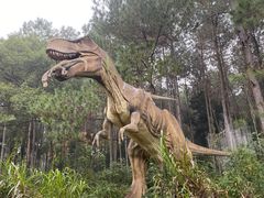 -佛冈森波拉度假区