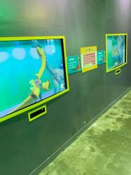 -恐龙探索乐园(磁器口店)