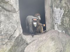 -南昌动物园