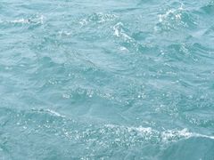 -九曲溪竹筏码头