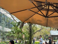 -缘生态云南菜·野生菌庭院餐厅(华侨城店)