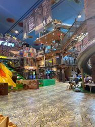 -卡通尼·Safari非洲探索乐园·生日会(金桥国际商业广场店)