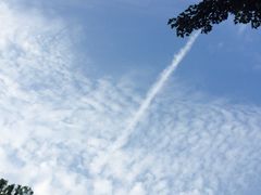 -齐汇维景大酒店游泳馆(山东政协大厦齐汇维景)