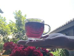 -海韵人家.海景花园经典云南菜(双廊店)