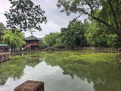 -房湖公园