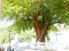 -澳门外港客运码头(轮渡站)