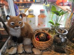 -狐狸家·酸奶酪专门店(平江路店)