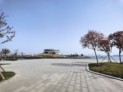 -郑东新区龙湖公共艺术中心