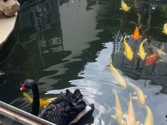 -湖鲜楼