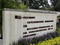 -南山植物园