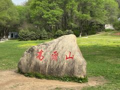 -高尔山公园