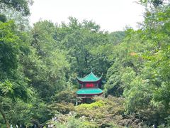 -岳麓山风景名胜区