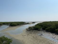 -北海金海湾红树林生态旅游区