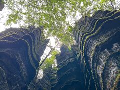 -梭布垭石林景区