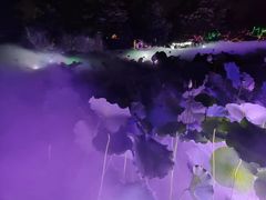 -鹅湖玫瑰文化园