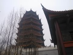 -铁山坪森林公园