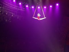 -珠海横琴长隆《卡卡虎奇遇记》