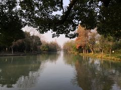 -西溪国家湿地公园