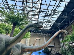 -国家自然博物馆