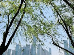 -天鹅湖体育公园
