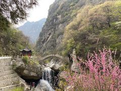 -陕西省红河谷森林公园