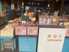 -桃源村(老门东店)