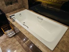 -河源万绿湖美思威尔顿酒店