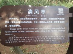 -大亚湾红树林城市湿地公园