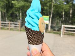-青池