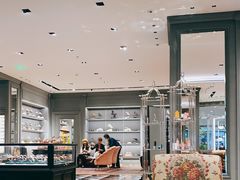 -Gucci(沈阳万象城店)