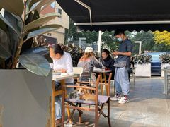 -the rug 飞毯 (朝阳公园店)