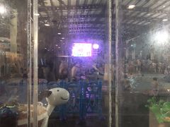 -南宫温泉水世界