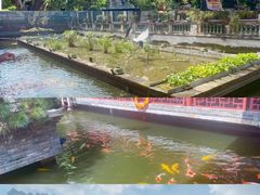 景观位-香山家宴