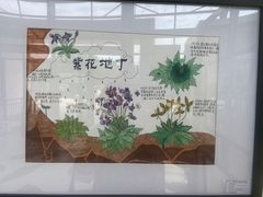 -南山植物园