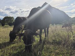 -Club Med地中海俱乐部·桂林度假村