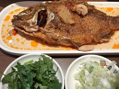 -顺溜·手工刀削面·黑金店(铜锣湾店)