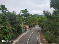 -东部华侨城