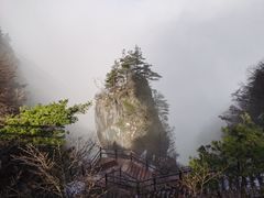 -秦岭天竺山生态文化旅游景区